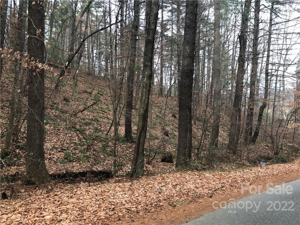 27 Eller Hollow Road Property Photo 3