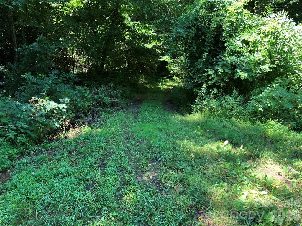10 Acres Charlotte Highway Property Photo 9