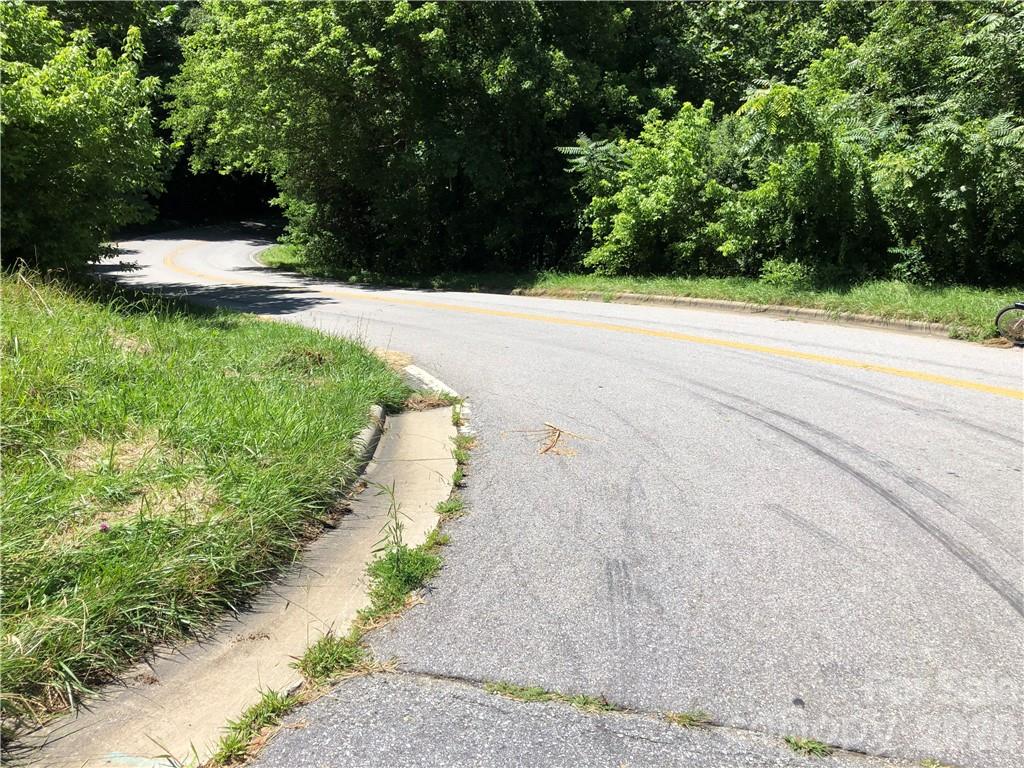 10 Acres Charlotte Highway Property Photo 24