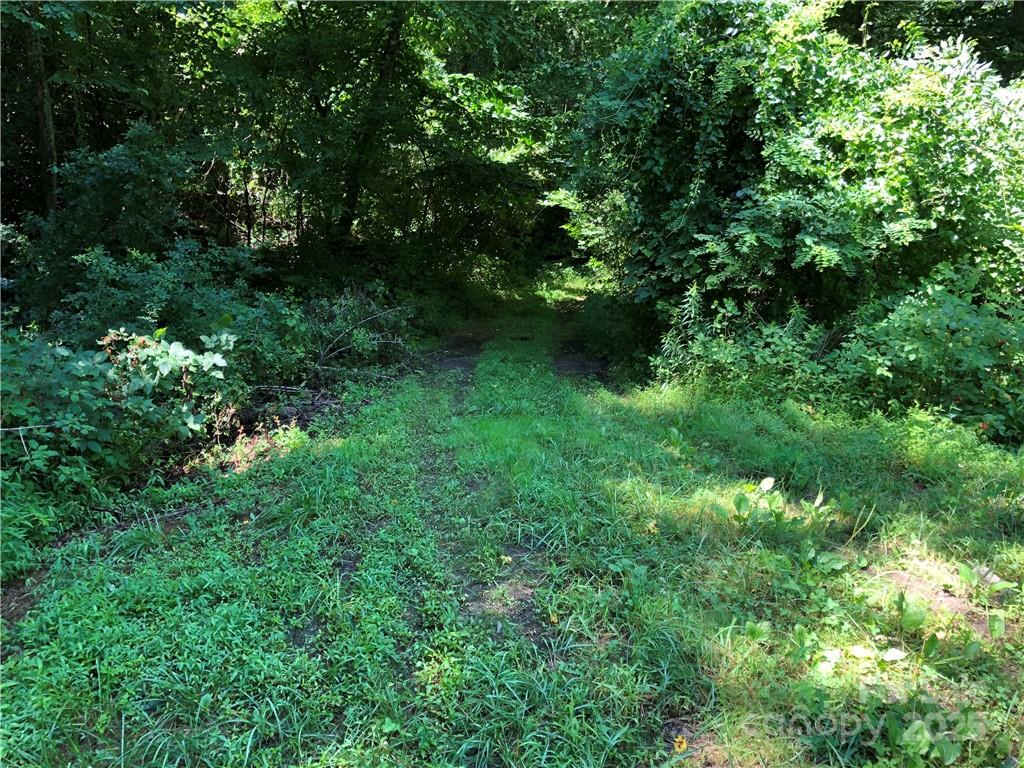 10 Acres Charlotte Highway Property Photo 10