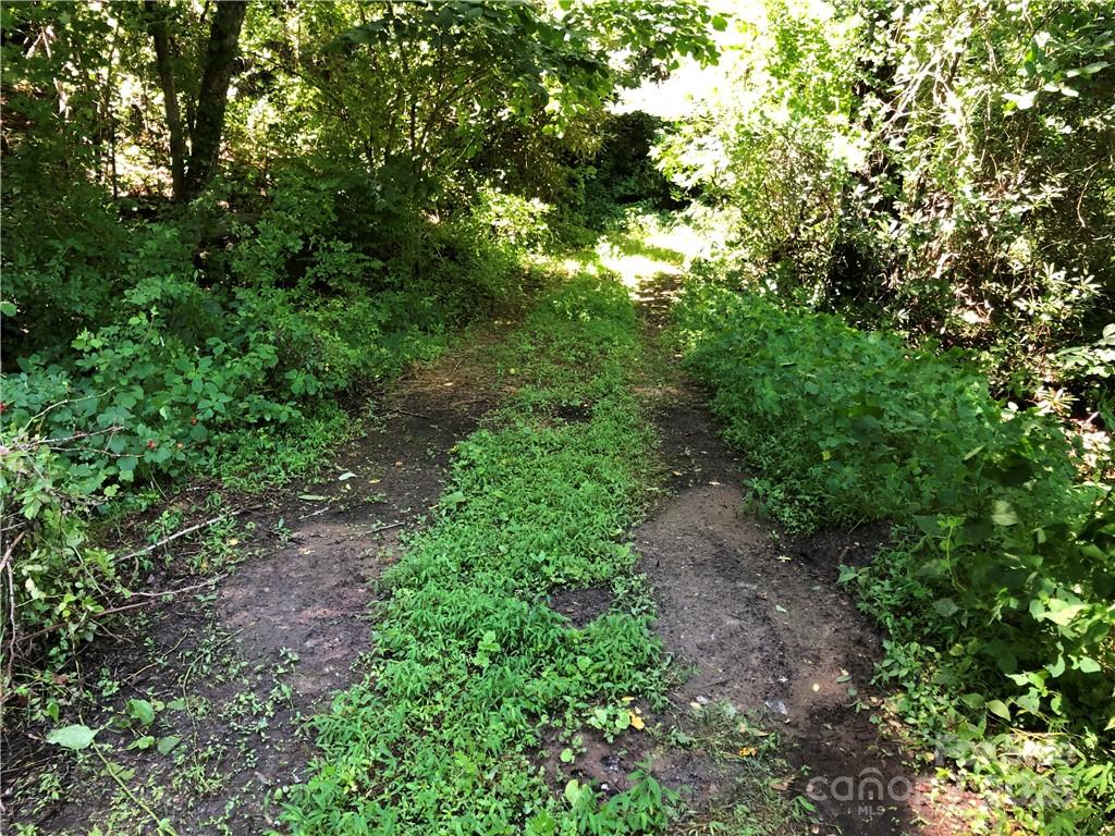 10 Acres Charlotte Highway Property Photo 12