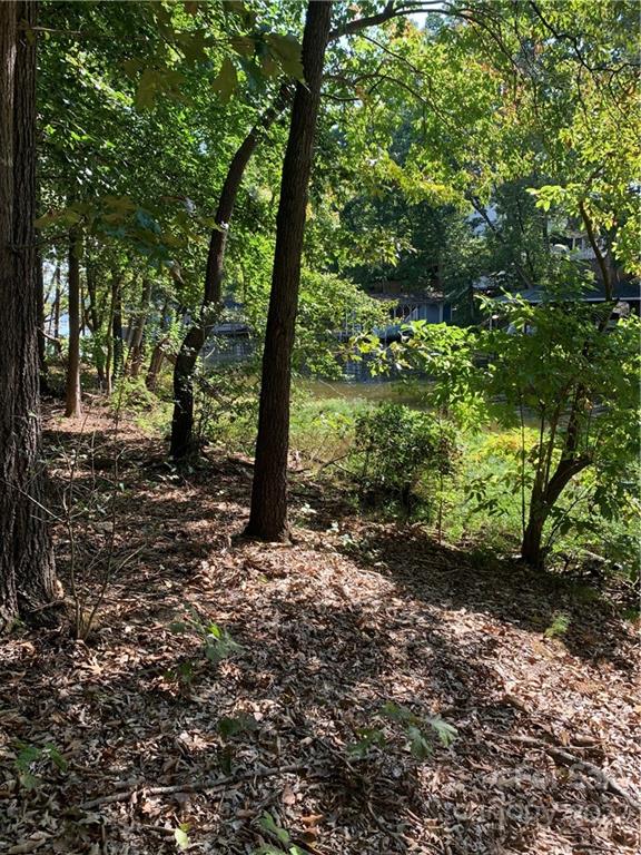 Lot 9r Eagle Pointe Drive Property Photo 4