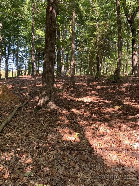 Lot 9r Eagle Pointe Drive Property Photo 5