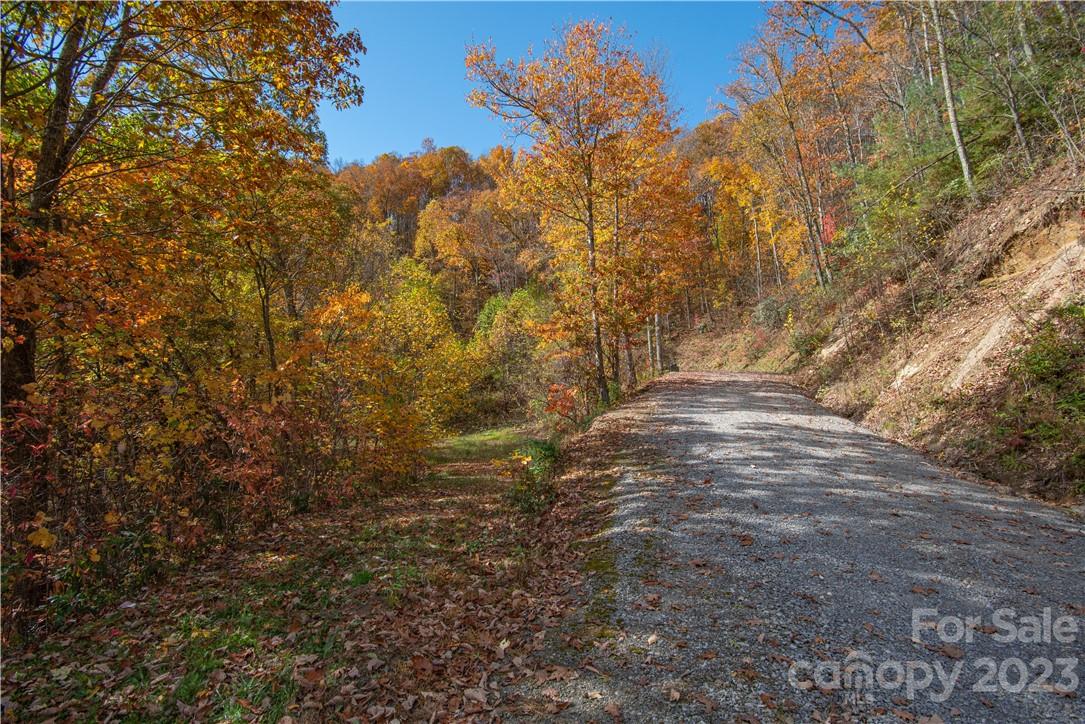 Tract 3 Sigogglin Trail Property Photo 3