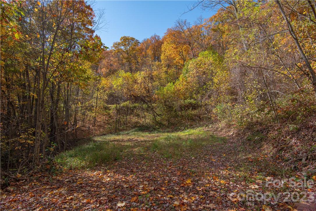 Tract 3 Sigogglin Trail Property Photo 4