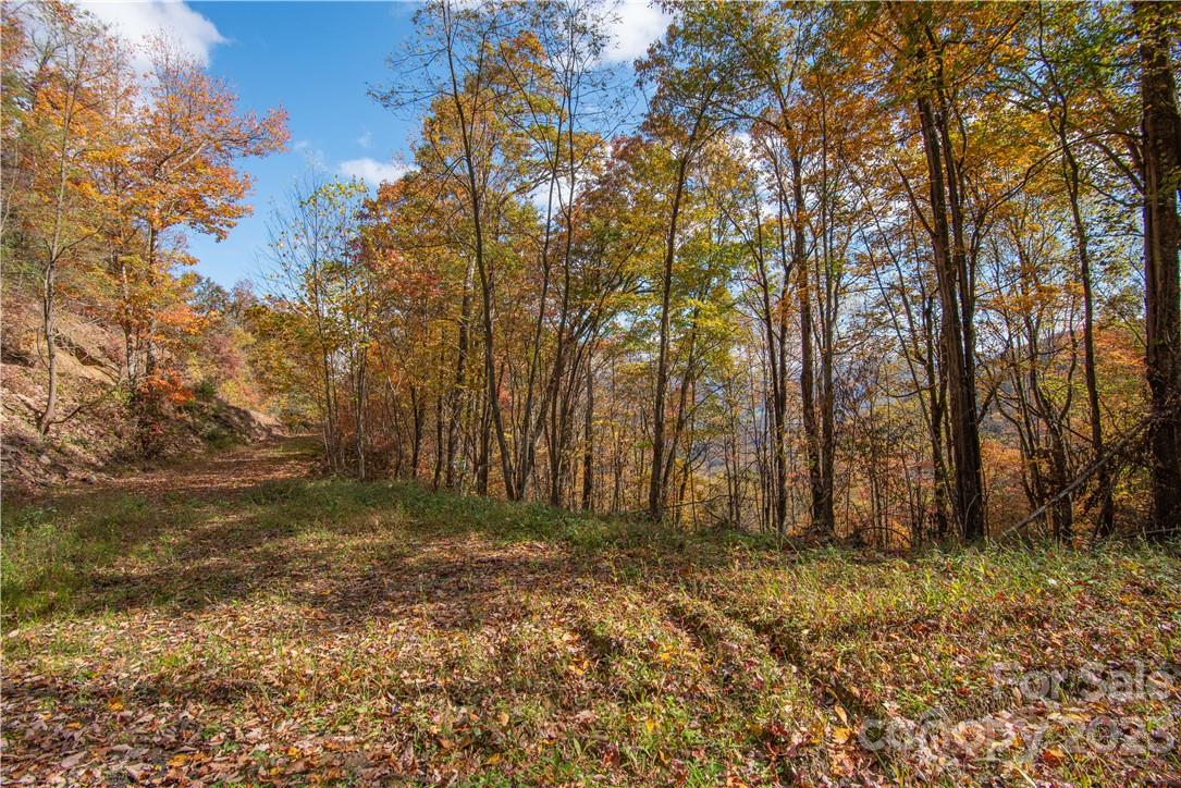 Tract 3 Sigogglin Trail Property Photo 5