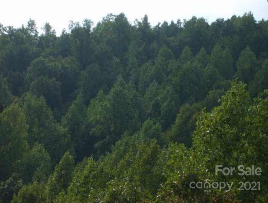0 Highland Meadows Way Property Photo 3