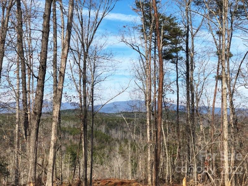 0 Hardin Store Road Property Photo 3