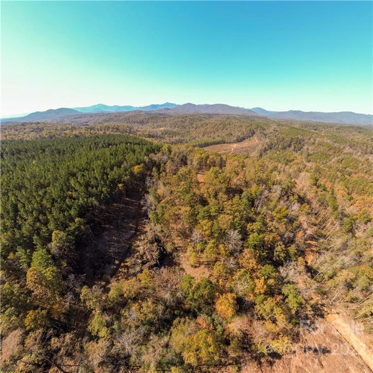 0 Hardin Store Road Property Photo 4