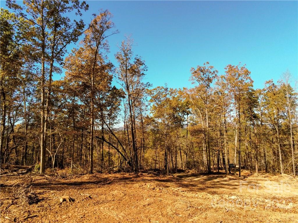0 Hardin Store Road Property Photo 7