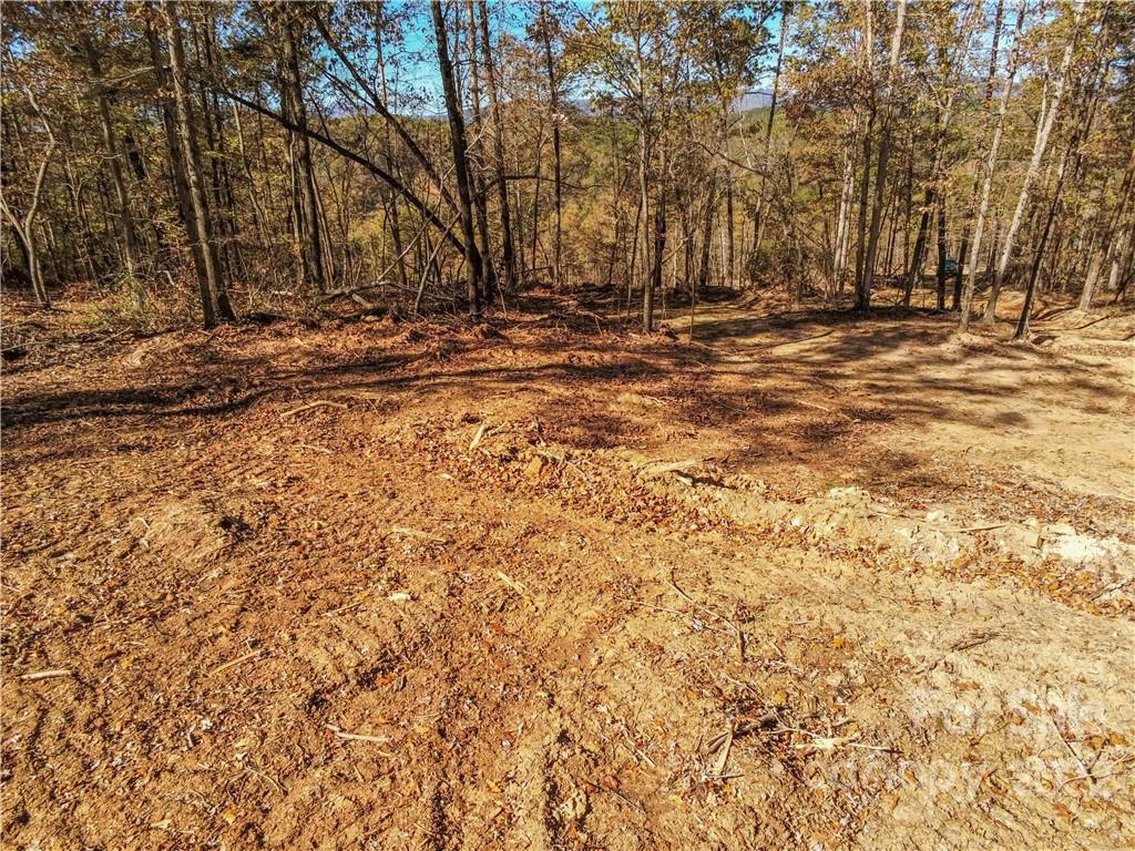0 Hardin Store Road Property Photo 11