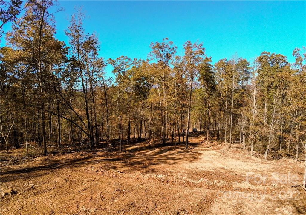 0 Hardin Store Road Property Photo 12