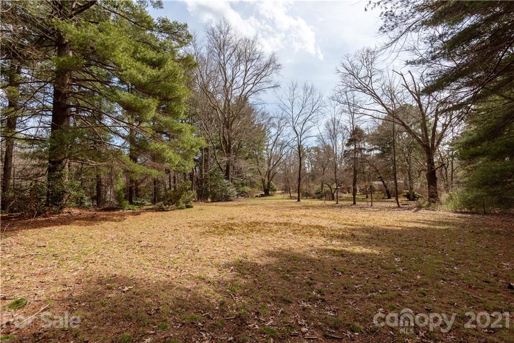 93 & 95 Springside Road Property Photo 9