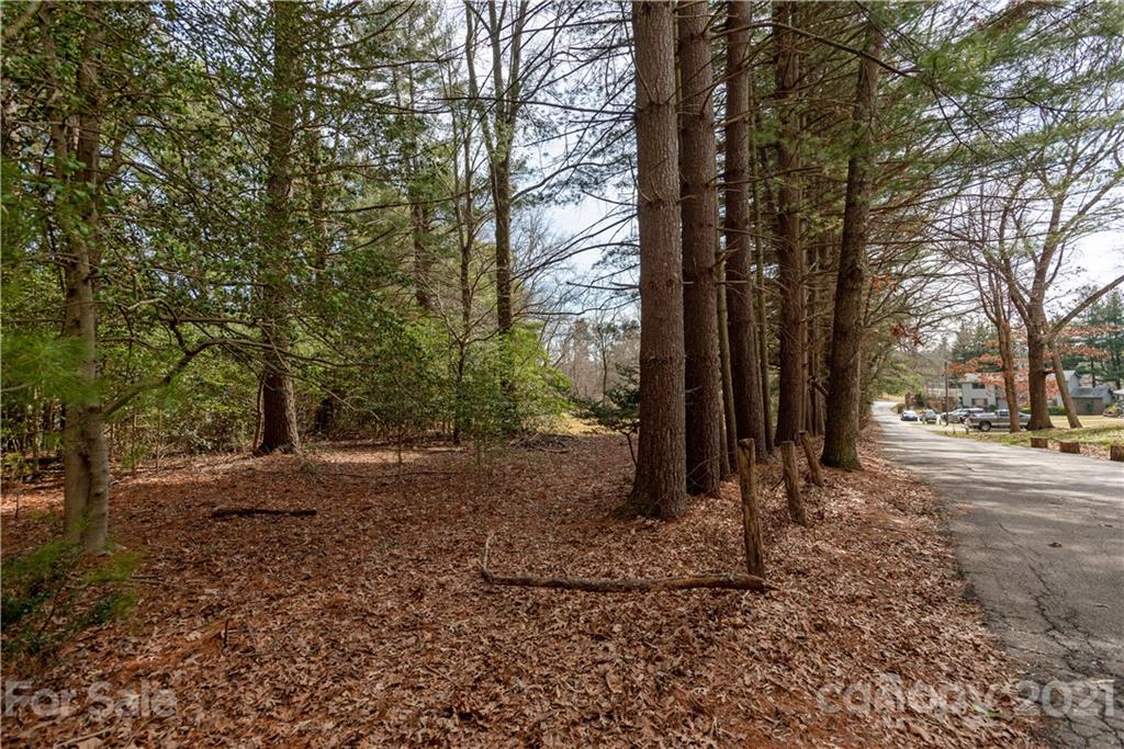 93 & 95 Springside Road Property Photo 10