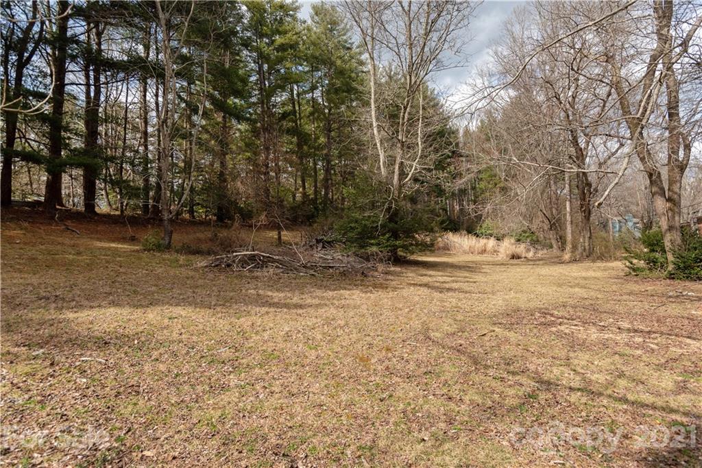 93 & 95 Springside Road Property Photo 15