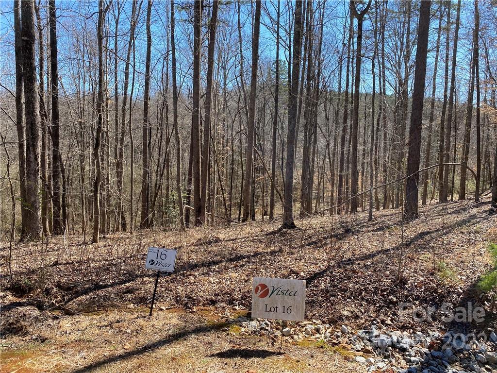 000 Rambling Creek Road 16 Property Photo 2