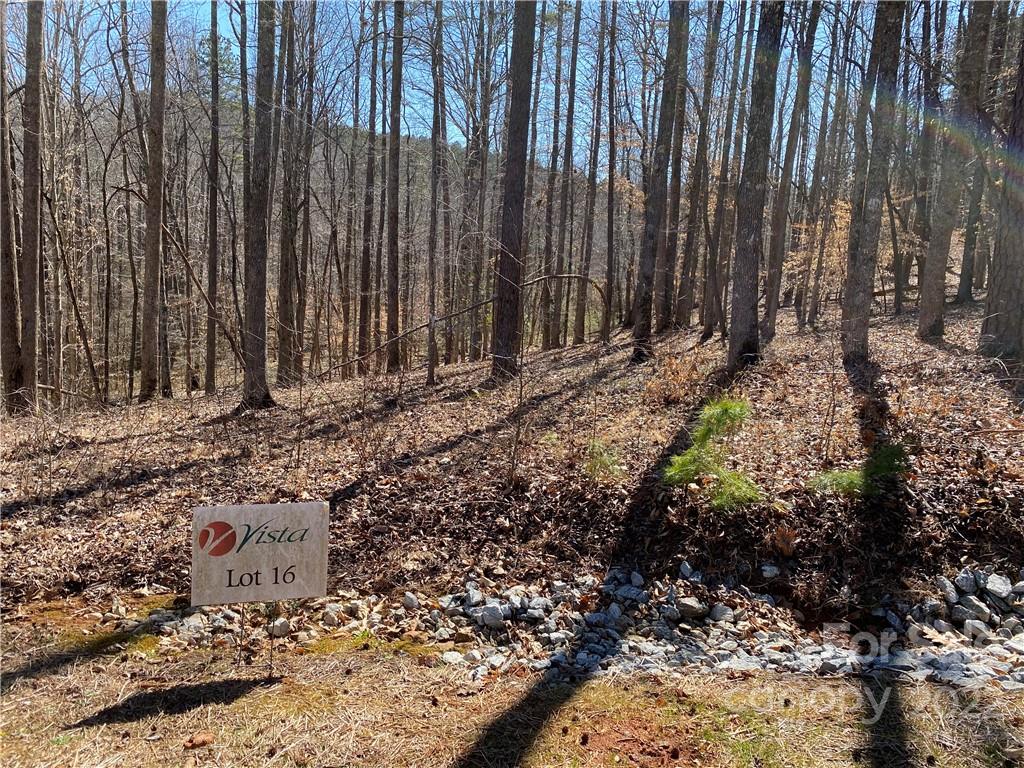 000 Rambling Creek Road 16 Property Photo 3