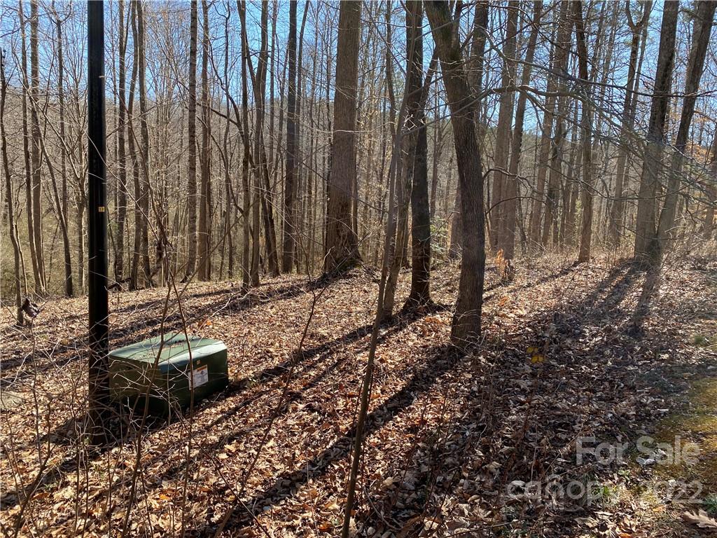 000 Rambling Creek Road 16 Property Photo 4