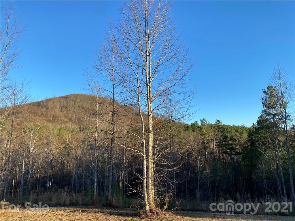 Lot 13 Pilot Ridge Road 13 Property Photo 14