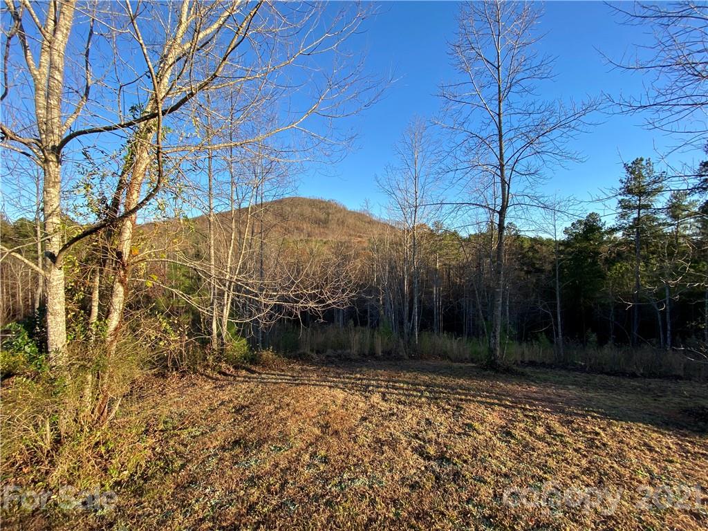 Lot 13 Pilot Ridge Road 13 Property Photo 15
