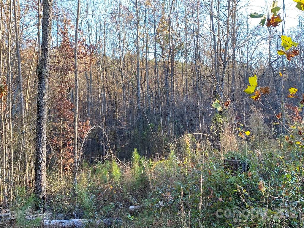 Lot 13 Pilot Ridge Road 13 Property Photo 16