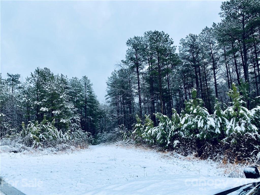 Lot 13 Pilot Ridge Road 13 Property Photo 17