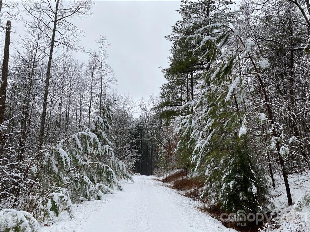 257 Pilot Ridge Road 18 Property Photo 29