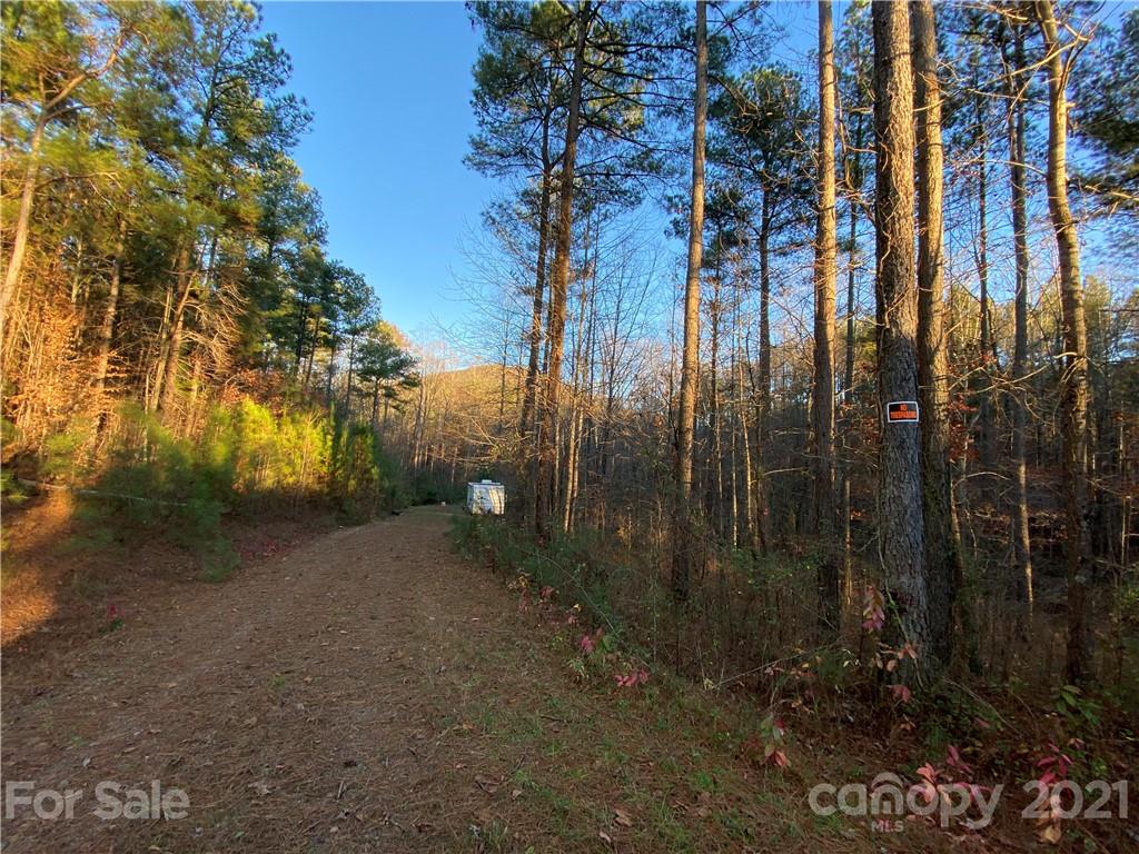 257 Pilot Ridge Road 18 Property Photo 31