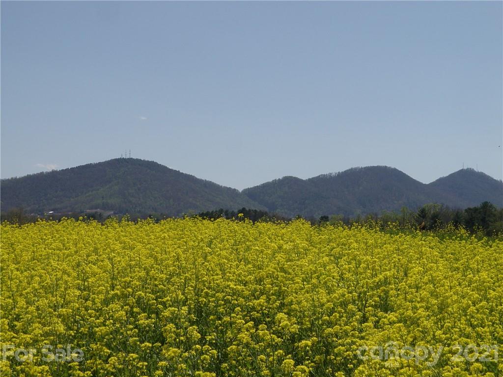 Xxxx Bear Creek Road Property Photo 1