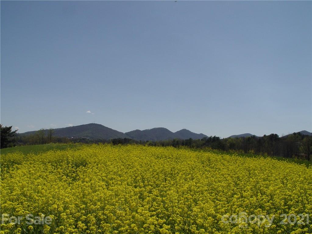 Xxxx Bear Creek Road Property Photo 3
