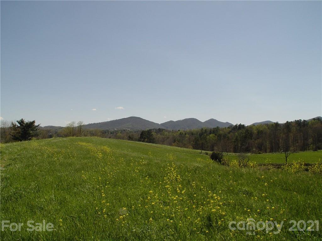 Xxxx Bear Creek Road Property Photo 4