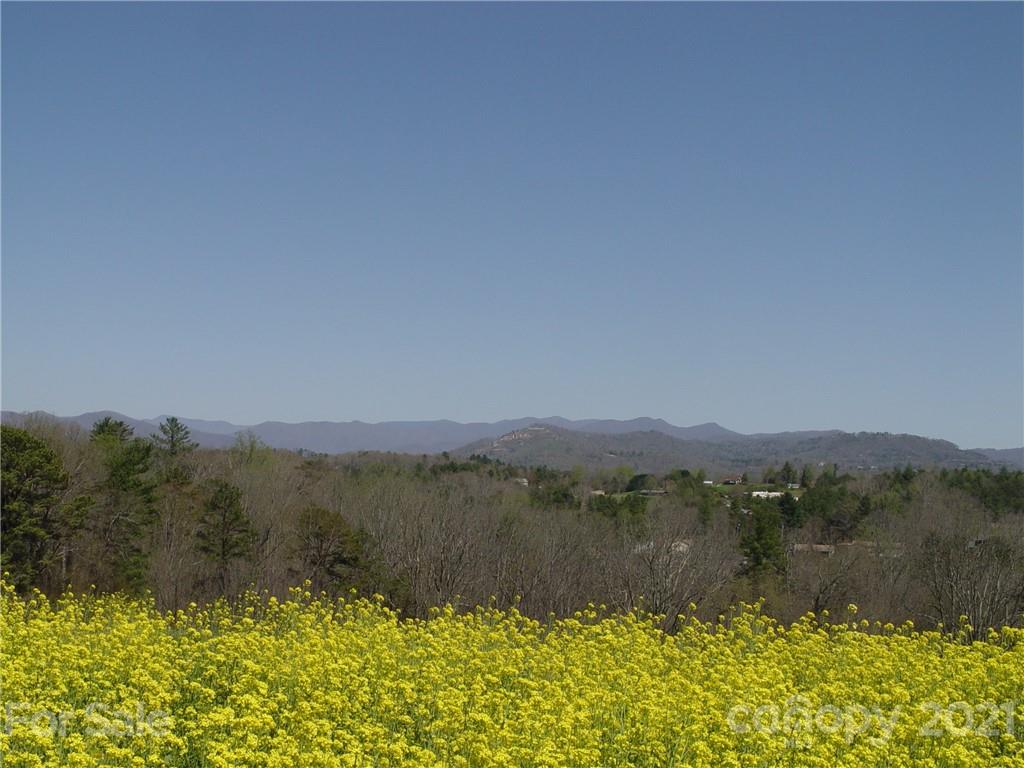 Xxxx Bear Creek Road Property Photo 5