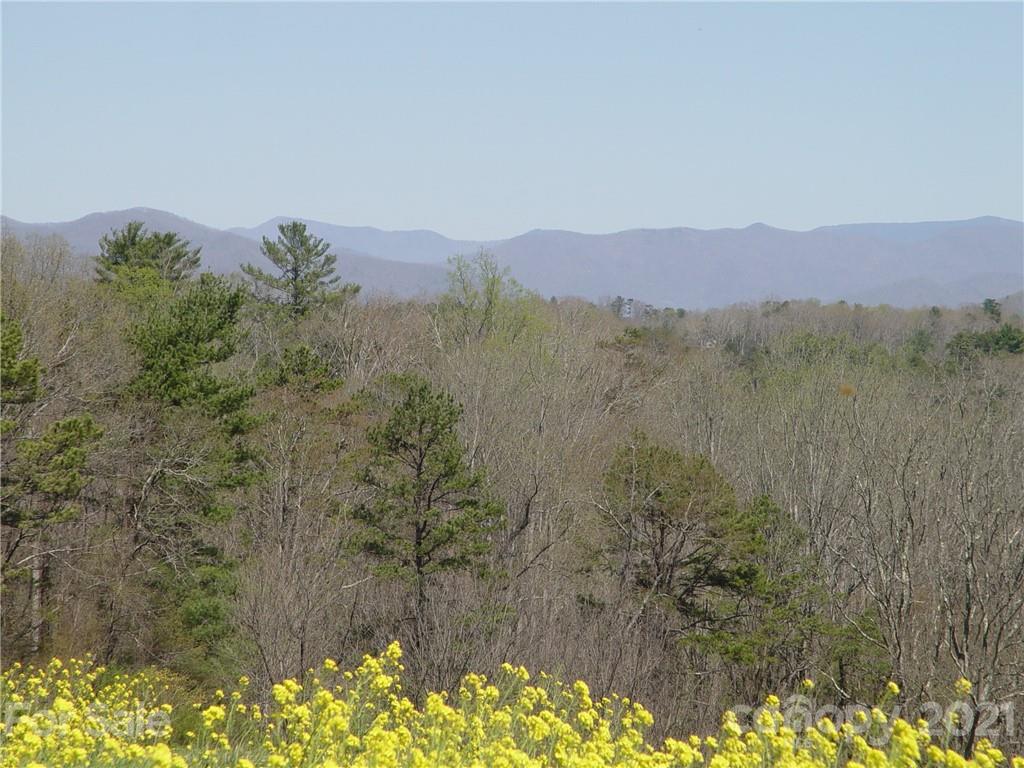 Xxxx Bear Creek Road Property Photo 6