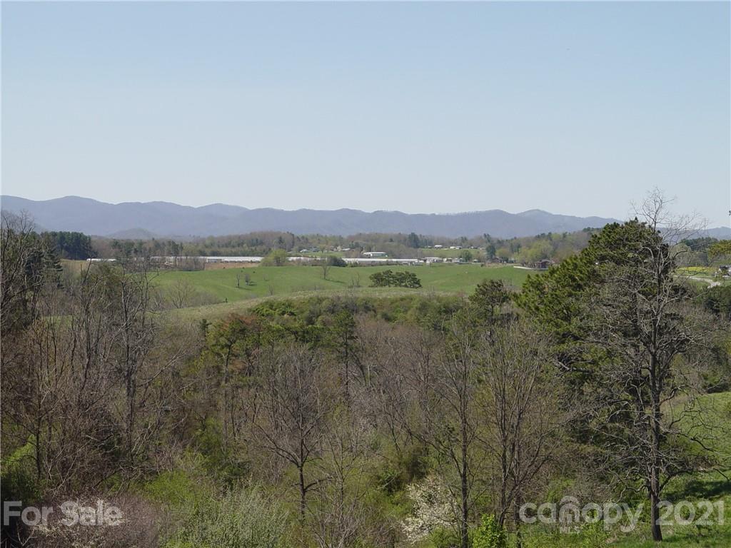 Xxxx Bear Creek Road Property Photo 8