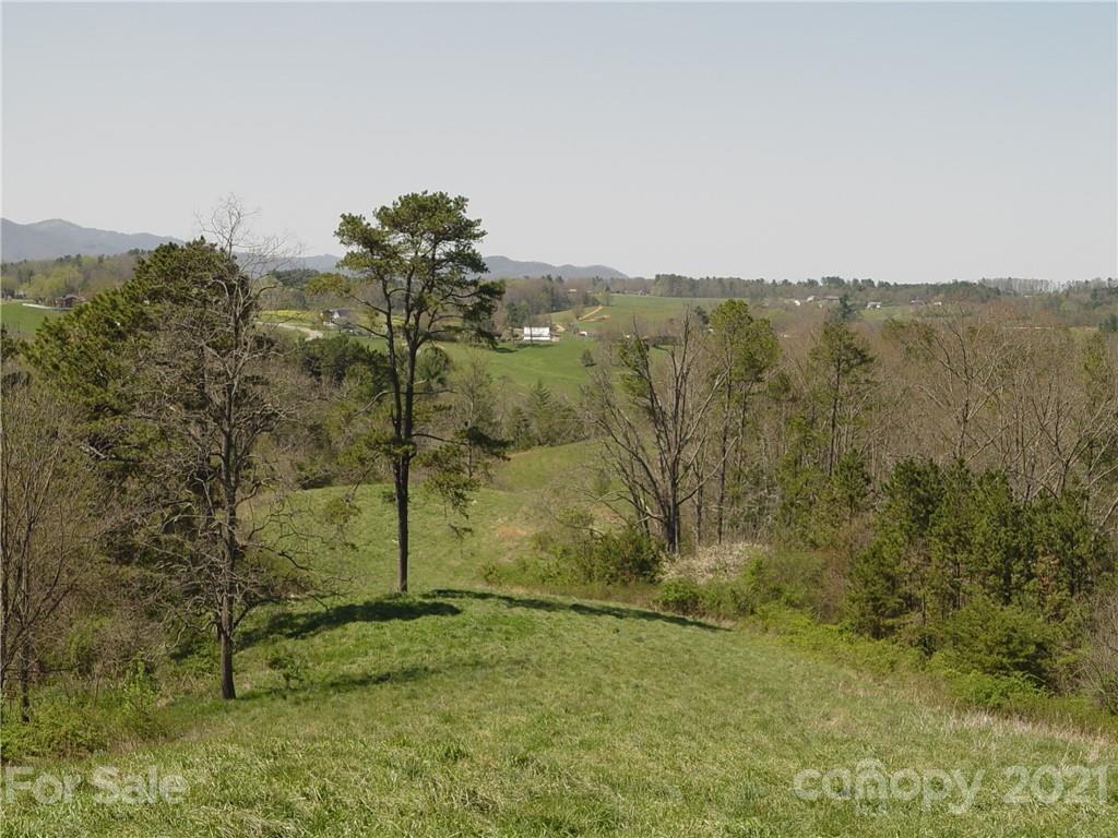 Xxxx Bear Creek Road Property Photo 9