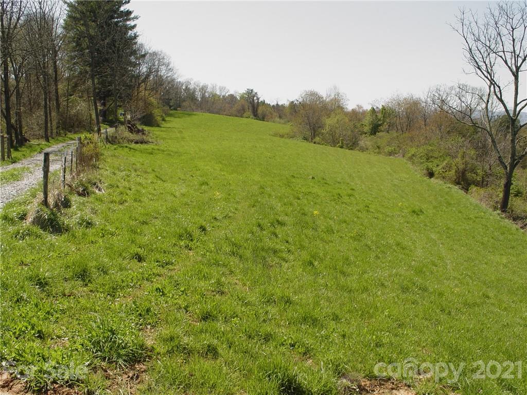 Xxxx Bear Creek Road Property Photo 13