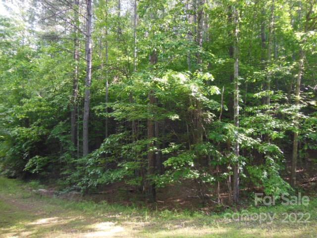 9 And 10 Grassy Knob Road 9 And 10 Property Photo 7