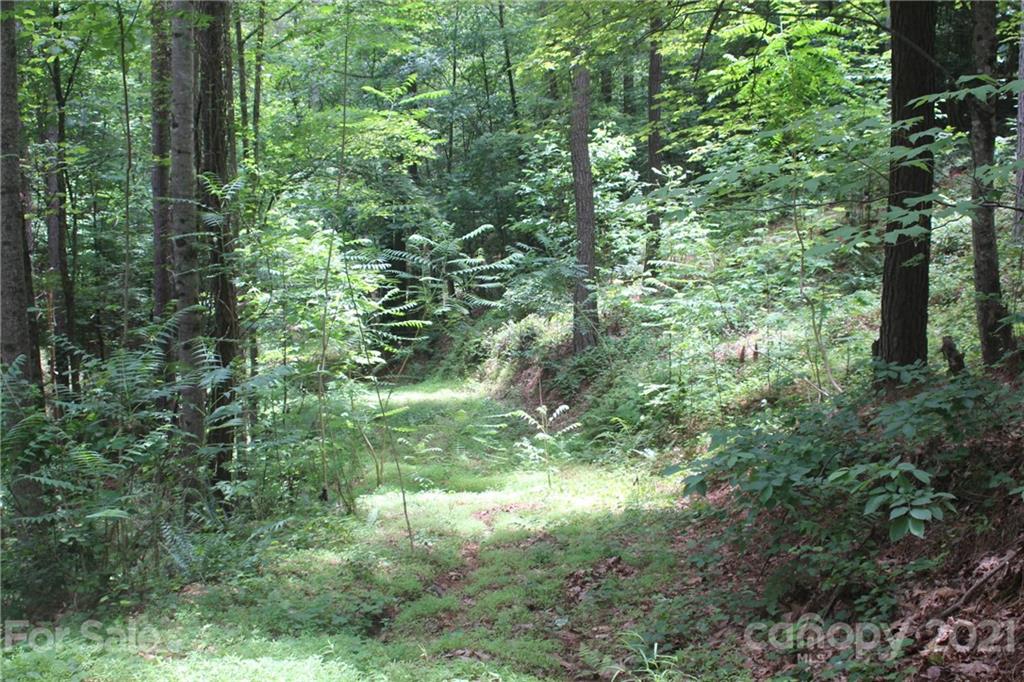 2202 Island View Lane 5 Property Photo 1