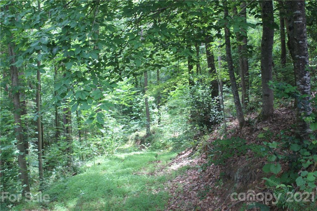 2202 Island View Lane 5 Property Photo 8