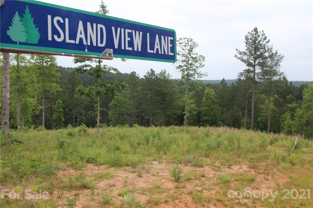 2202 Island View Lane 5 Property Photo 10
