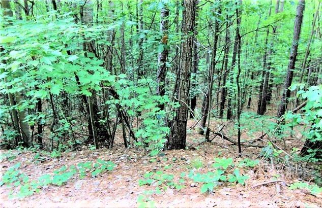 0 Chasewood Drive 13 Property Photo 2