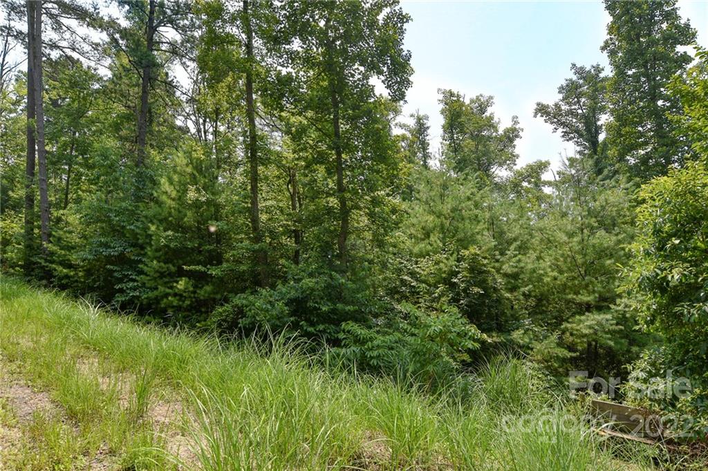 Lot 2 The Vines Boulevard Lot 2 Property Photo 2