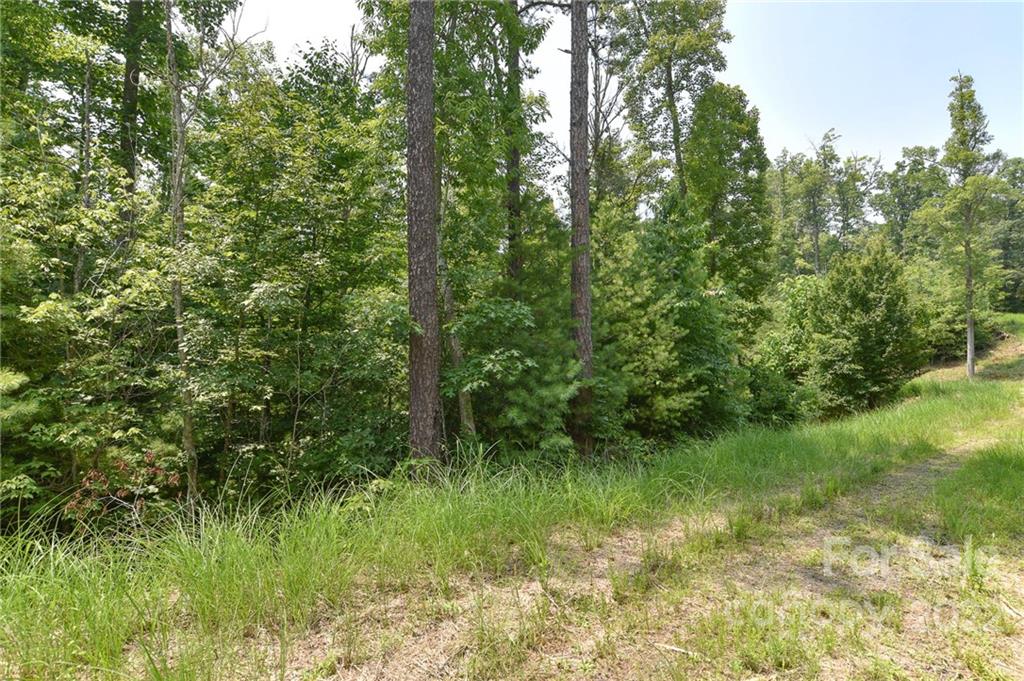Lot 2 The Vines Boulevard Lot 2 Property Photo 4