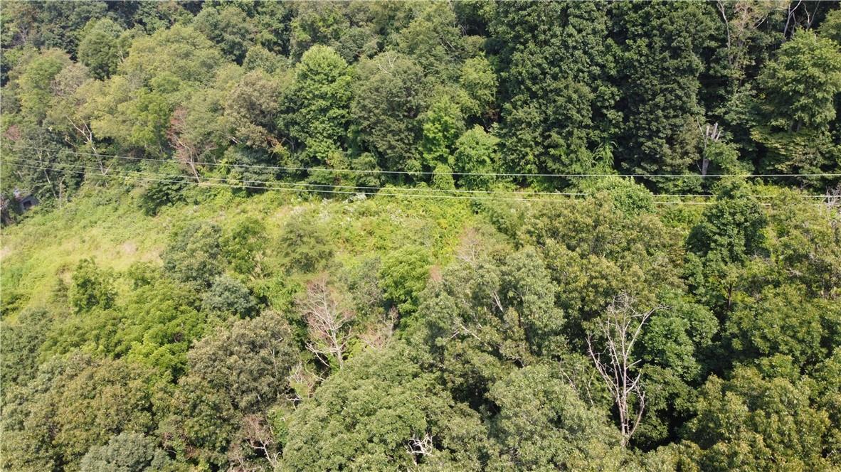 Tbd England Road Property Photo 6