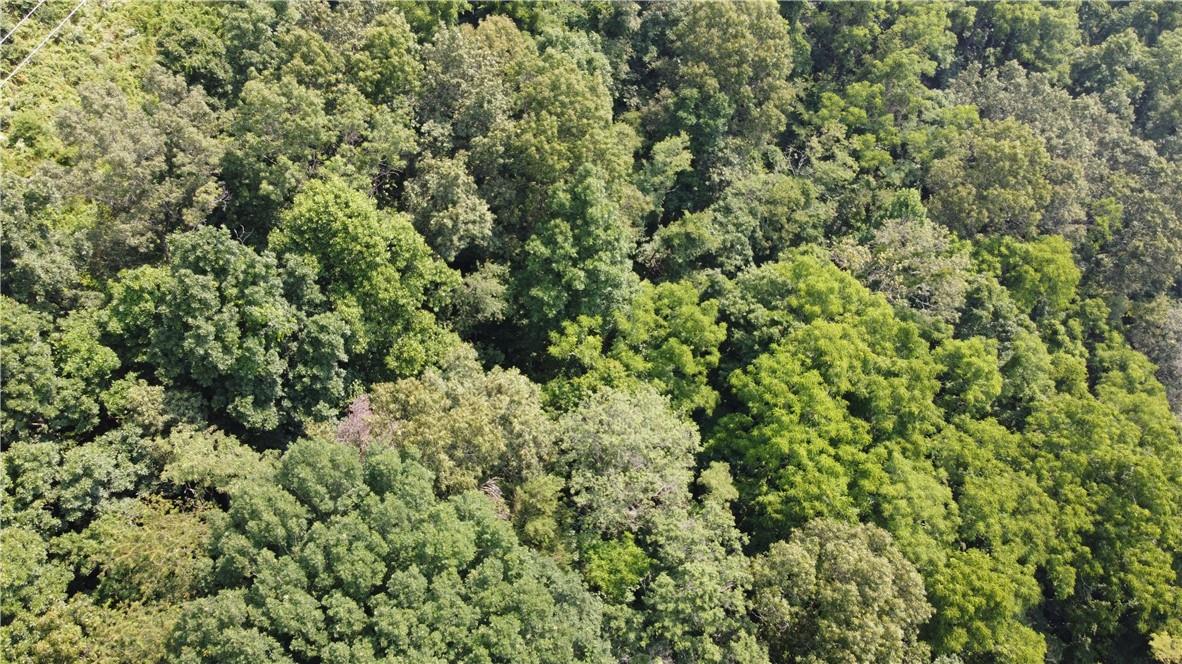 Tbd England Road Property Photo 7
