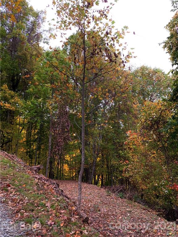 375 Buck Drive Property Photo 1