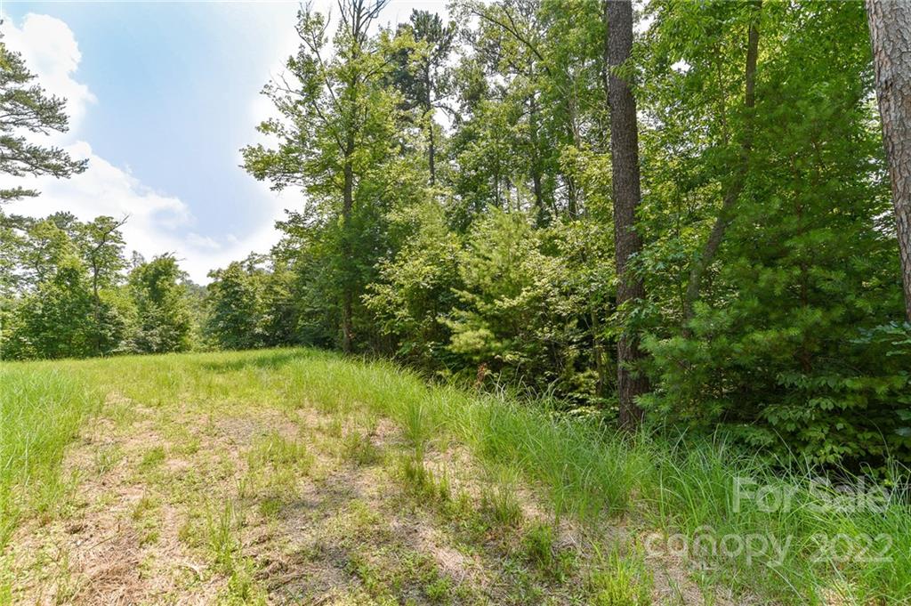 Lot 4 The Vines Boulevard Lot 4 Property Photo 2