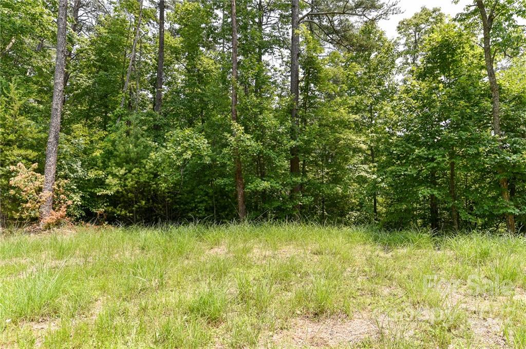 Lot 4 The Vines Boulevard Lot 4 Property Photo 3