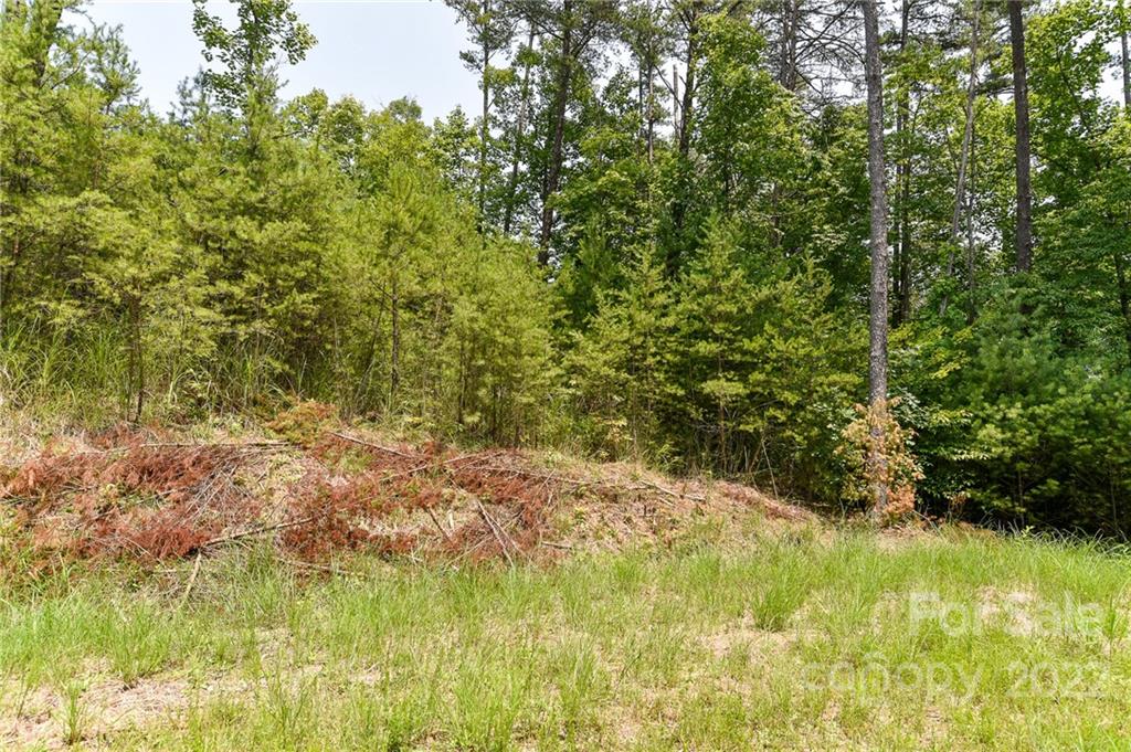 Lot 4 The Vines Boulevard Lot 4 Property Photo 4