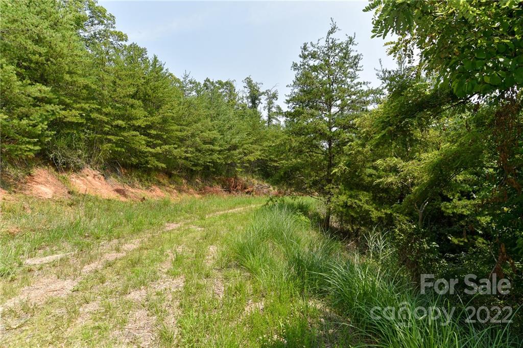 Lot 9 The Vines Boulevard Lot 9 Property Photo 1